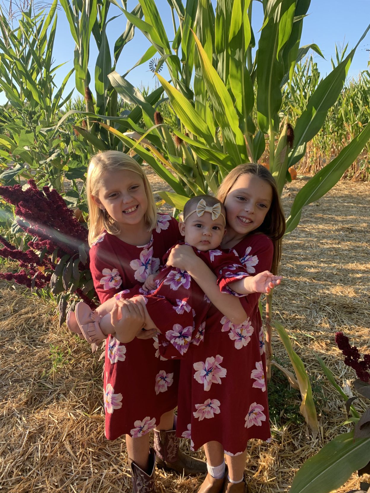 Picking Pumpkins 2019